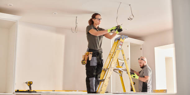 Best Electric Panel Repair  in Huntland, TN